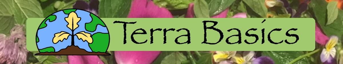 Terra Basics Logo