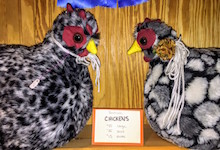 bigchickentalk220150